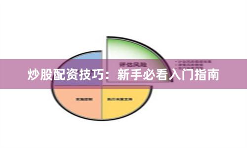 炒股配资技巧：新手必看入门指南
