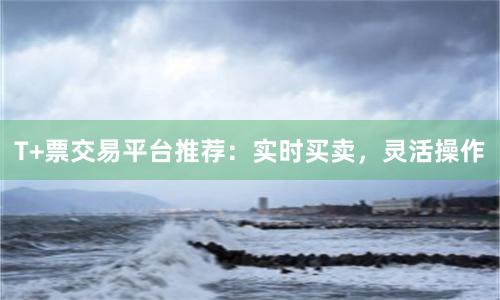 T+票交易平台推荐：实时买卖，灵活操作